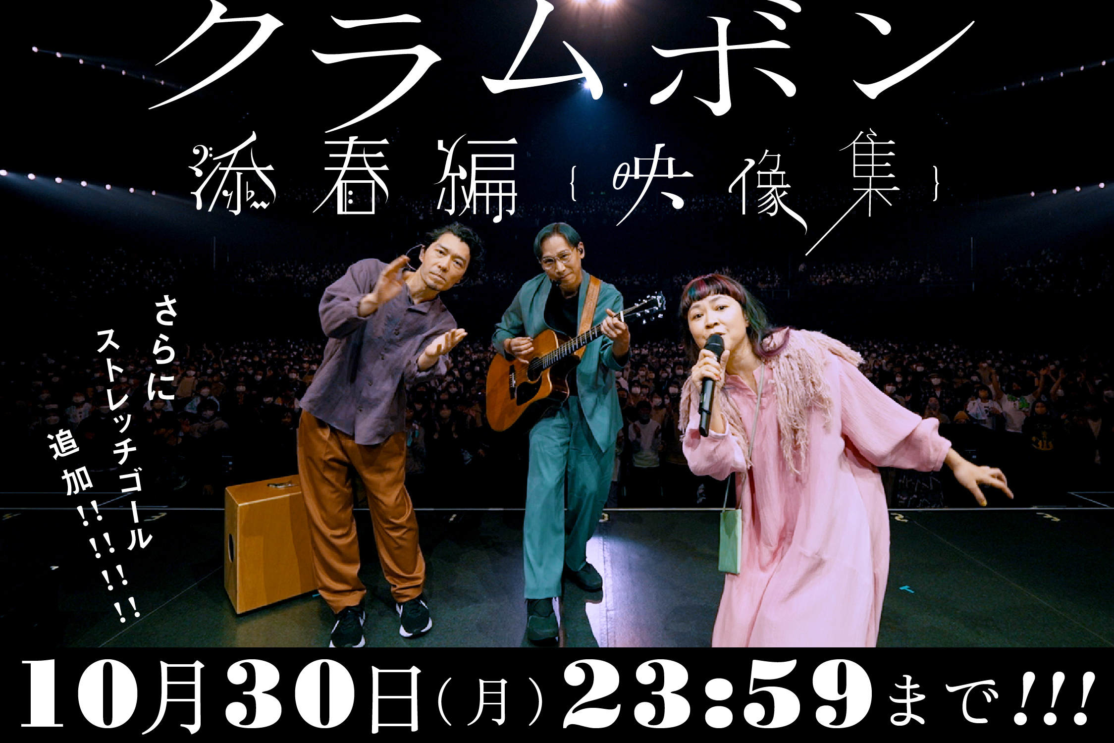 クラムボン✖️岩井俊二 日比谷野外音楽堂ライブDVD➕2cd日比谷野音 